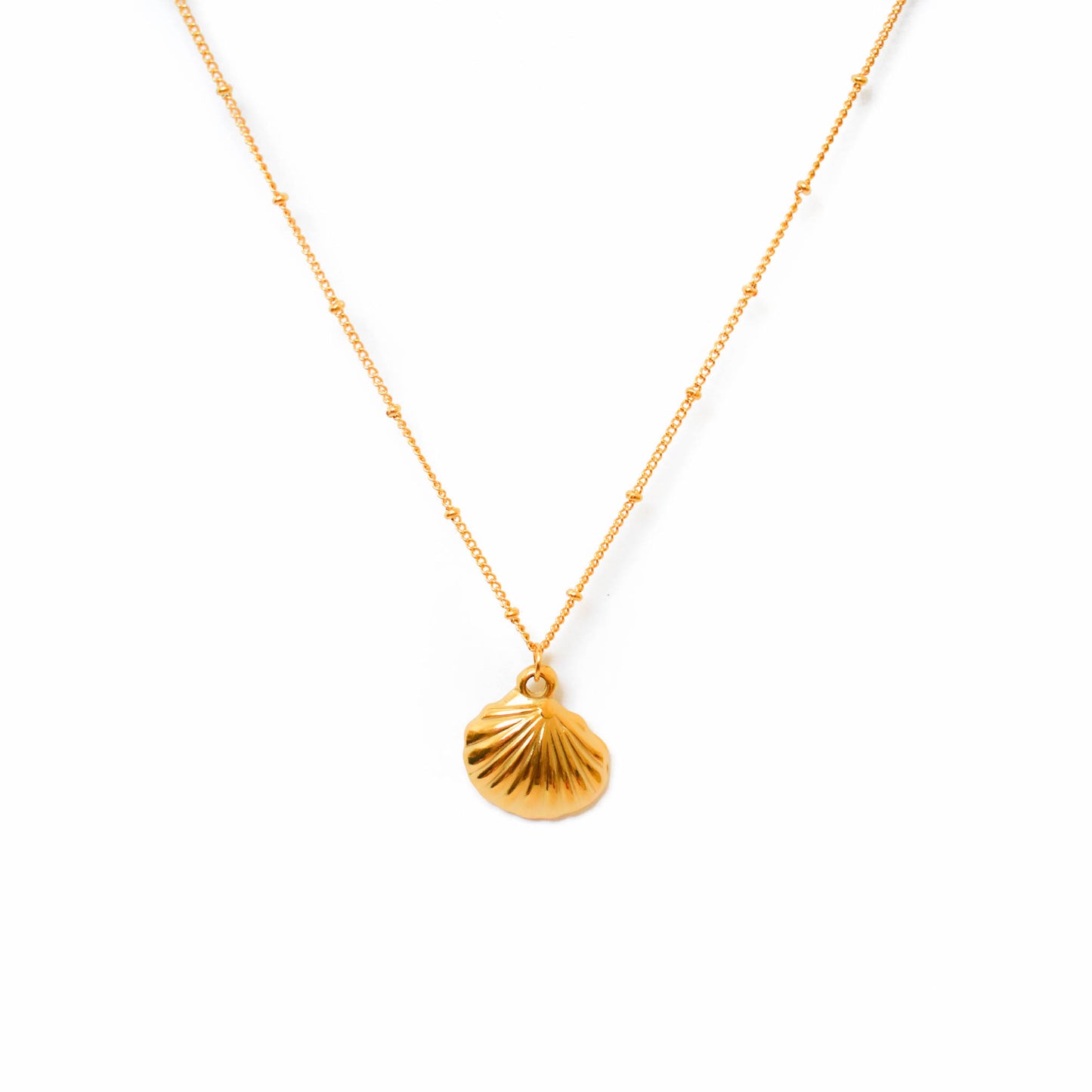 Collar Mar