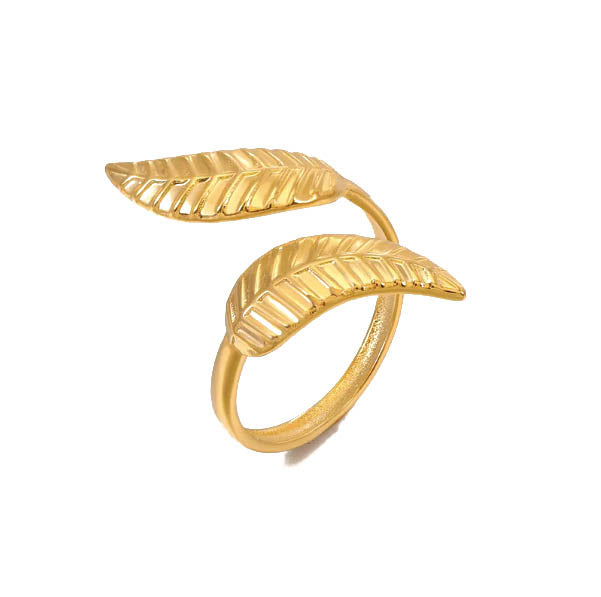 Anillo Dash
