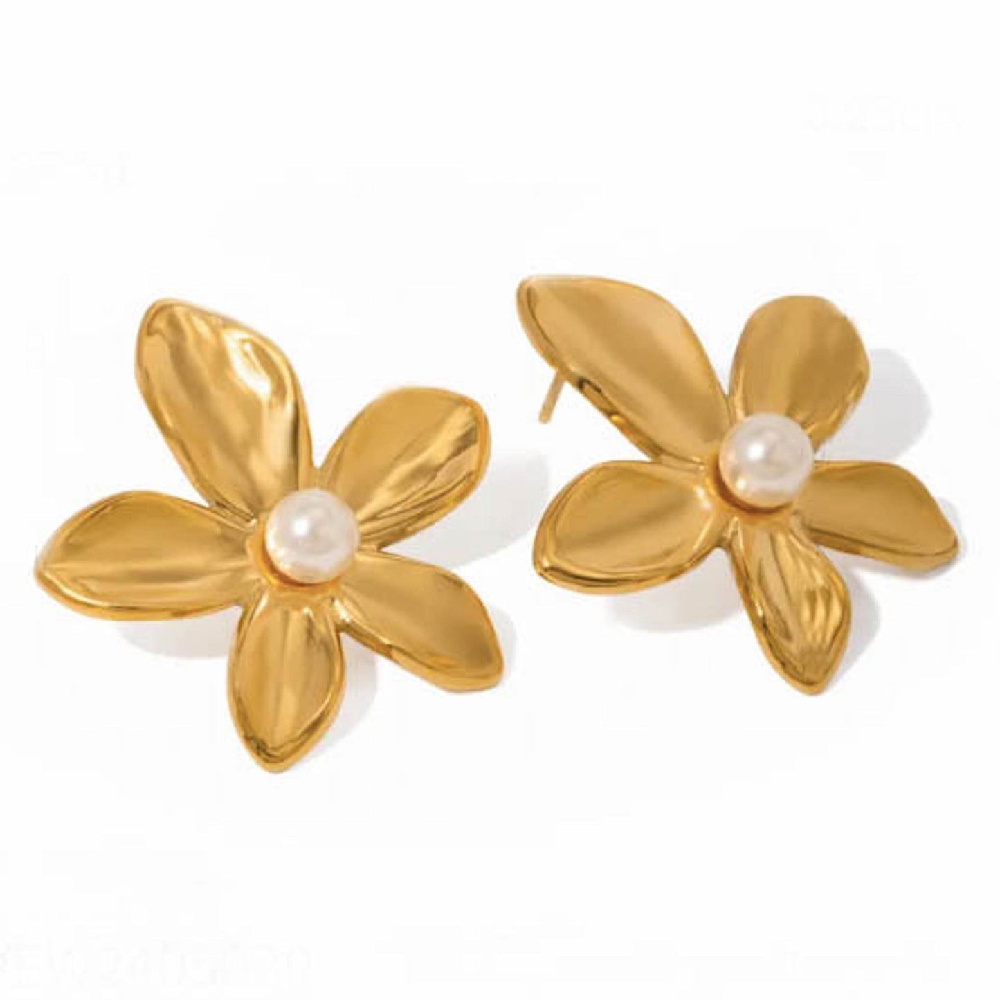 Aretes Carina