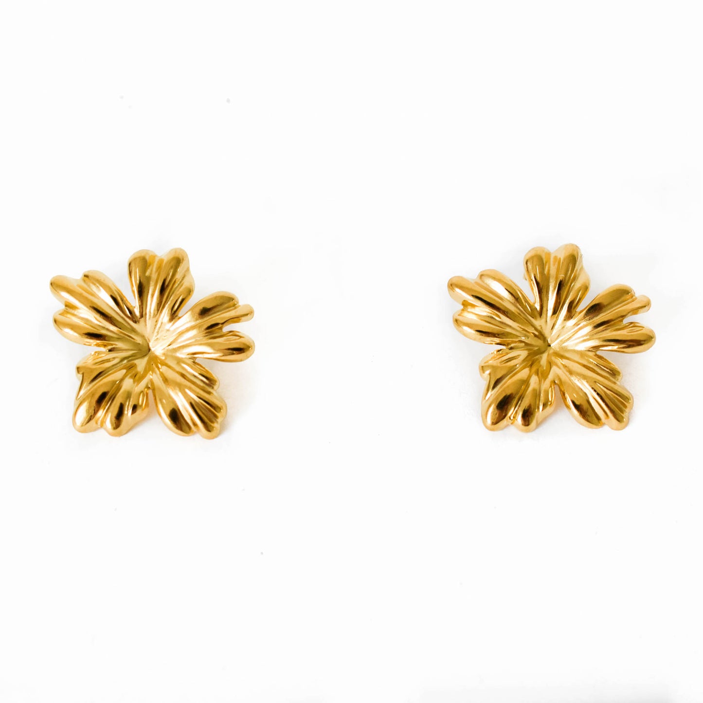 Aretes Aylo