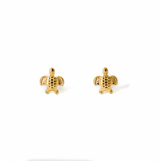 Aretes Tortugas