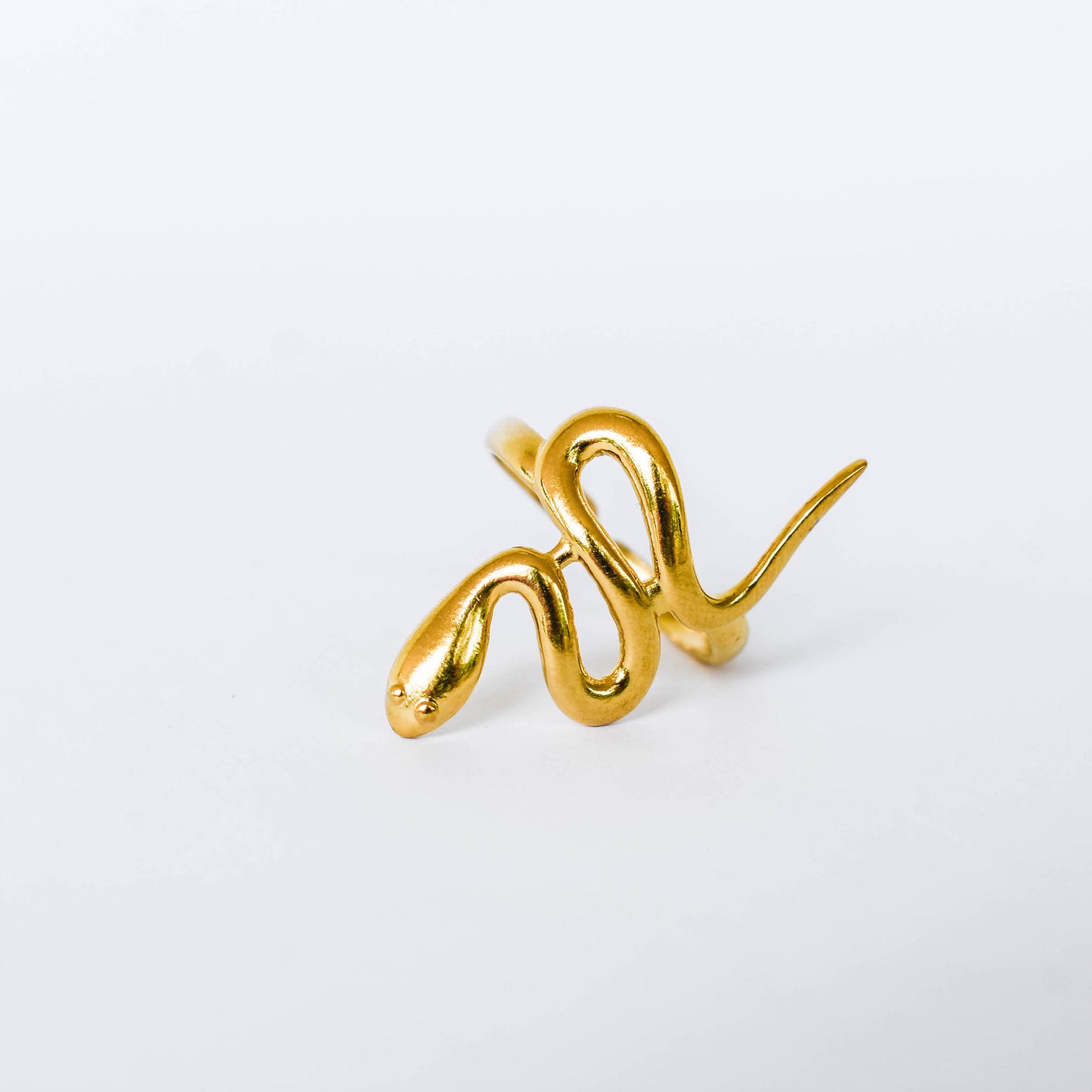 Anillo Snake