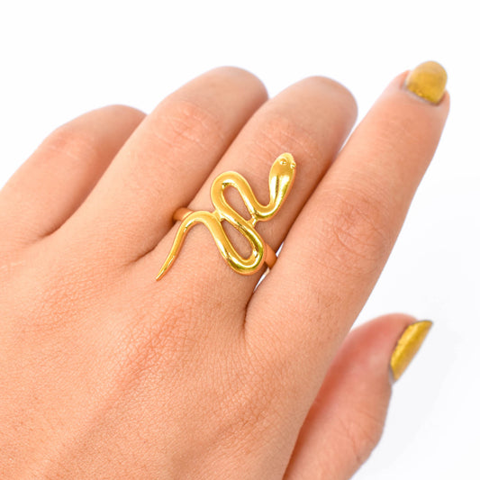 Anillo Snake