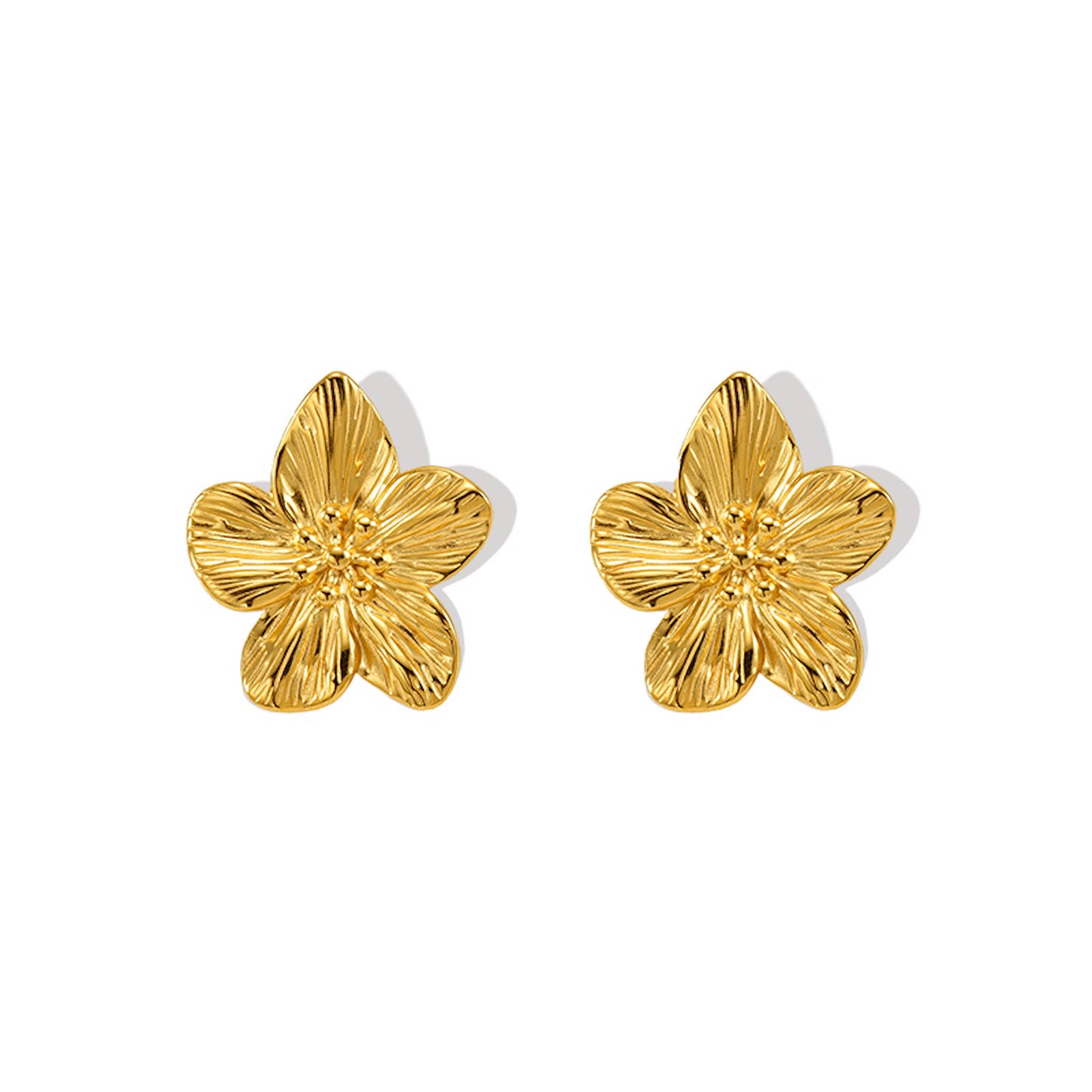 Aretes Memi