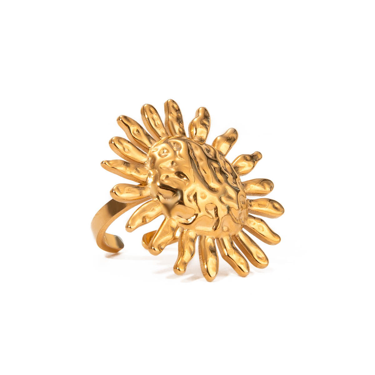 Anillo Celeste