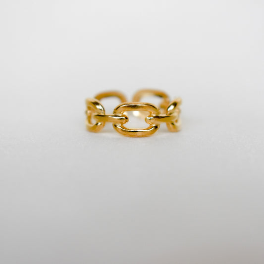Anillo Link